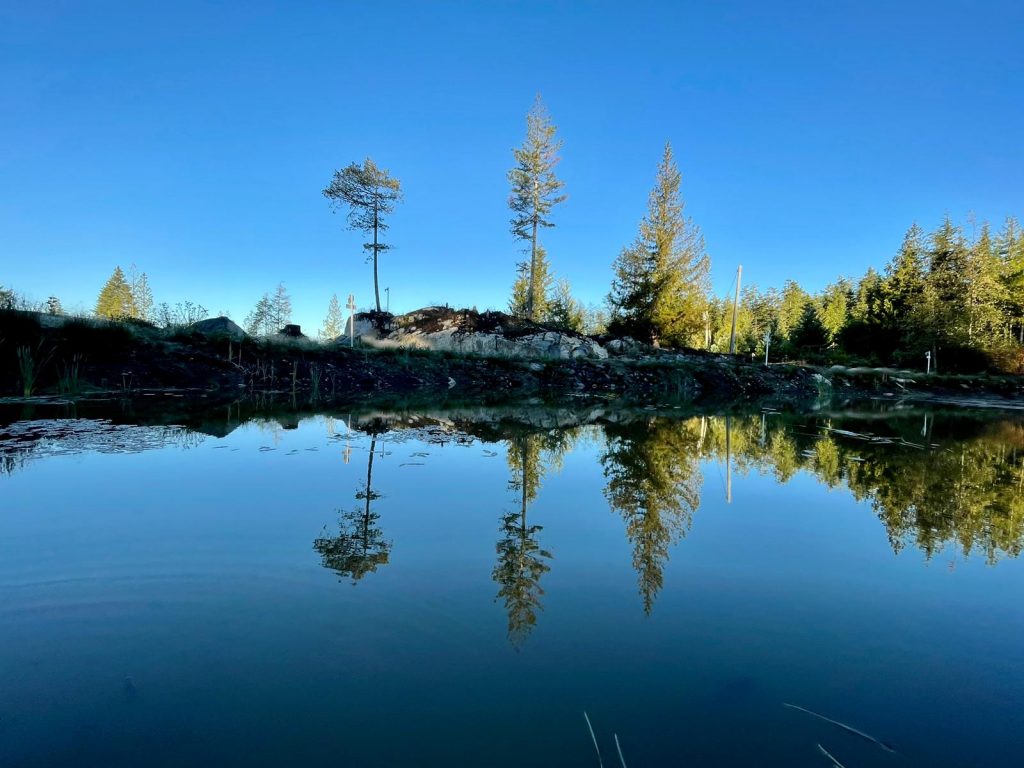 deer lake