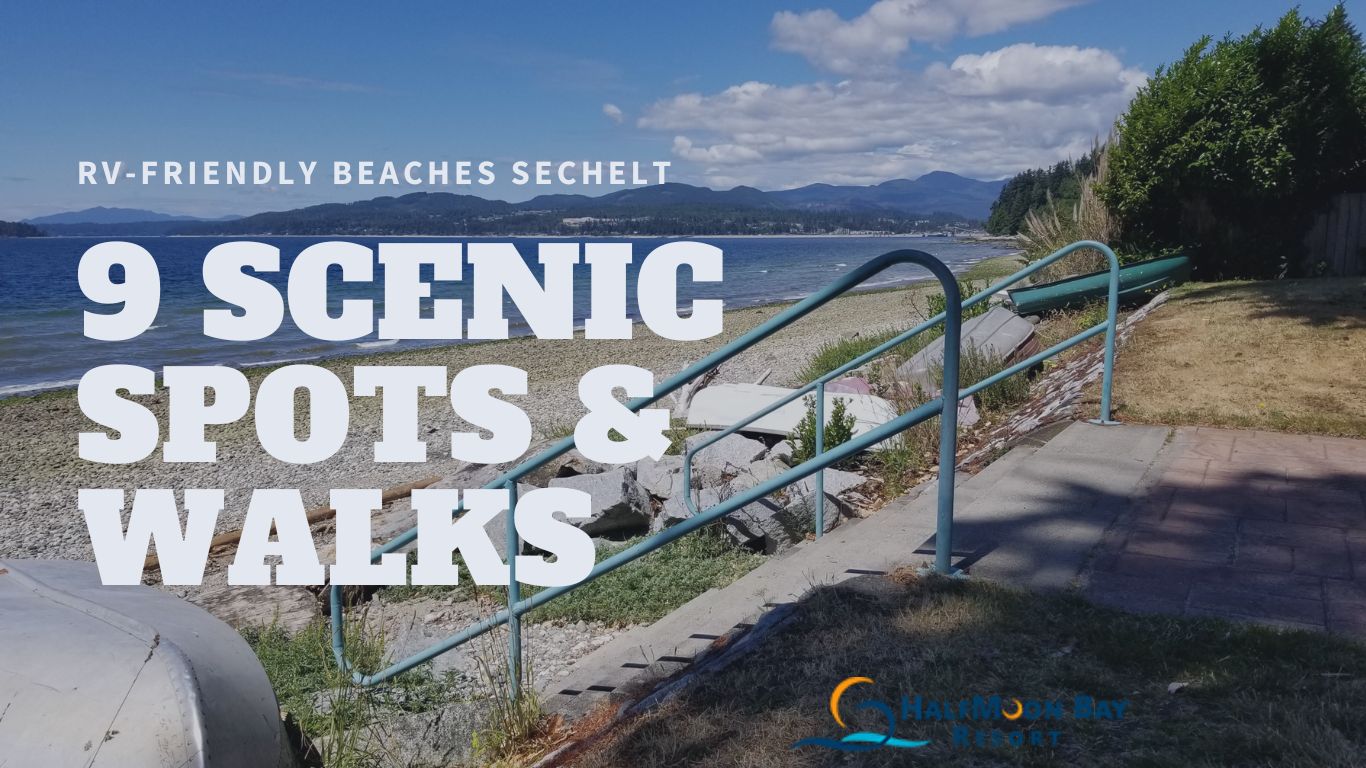 Best RV-Friendly Beaches & Forest Walks Near Sechelt (Maps, Parking, Pet Tips)