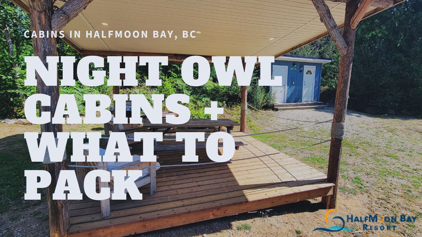Cabins in HalfMoon Bay, BC: Night Owl Cabins + What to Pack (And Who They Suit)