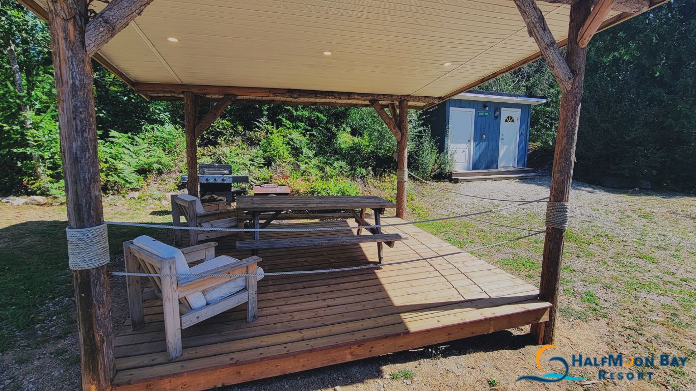 Tiny Houses for Sale Near Me: 5 Best Options Buyers Love