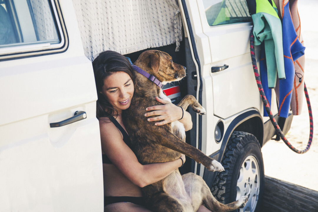 The Complete Guide to Pet Friendly RV Travel in British Columbia